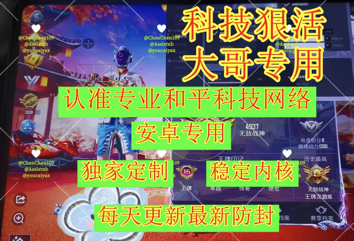 和平精英辅助